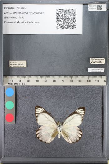 Media type: image;   Entomology 140025